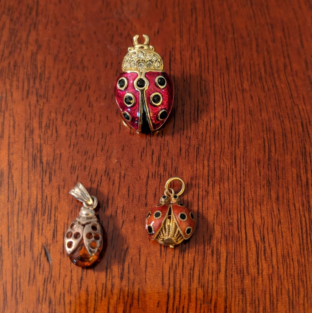 Ladybug jewelry bundle